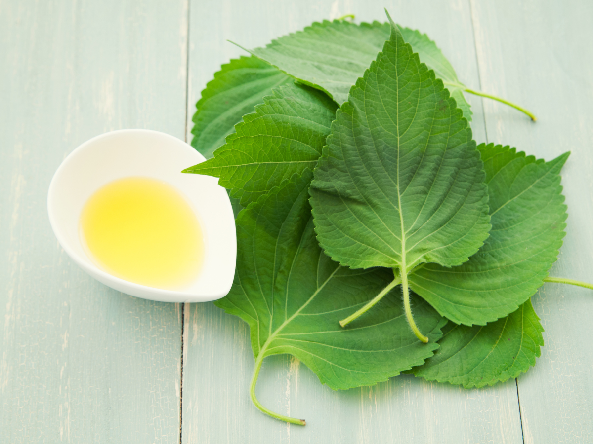 Best CBN Oil Products &amp; Where to Buy Them Safely