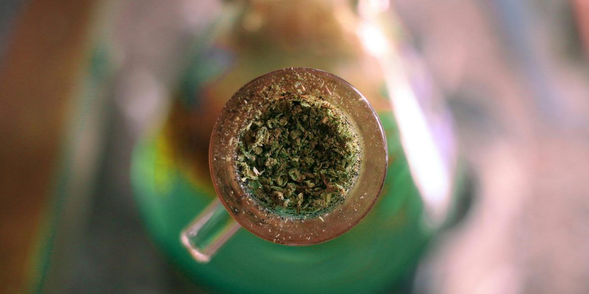 CBD From Hemp vs CBD From Cannabis: What Consumers Need to Know