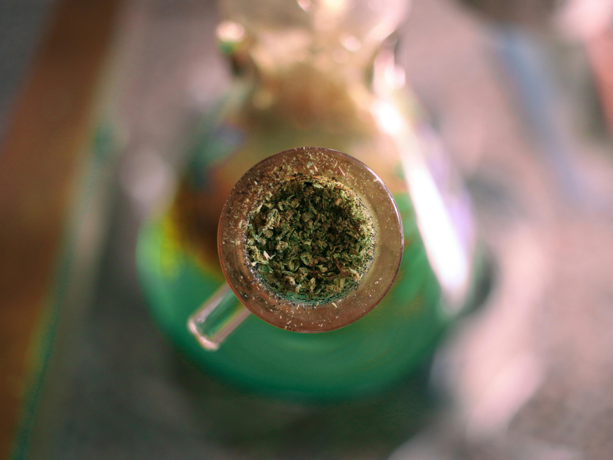 CBD From Hemp vs CBD From Cannabis: What Consumers Need to Know