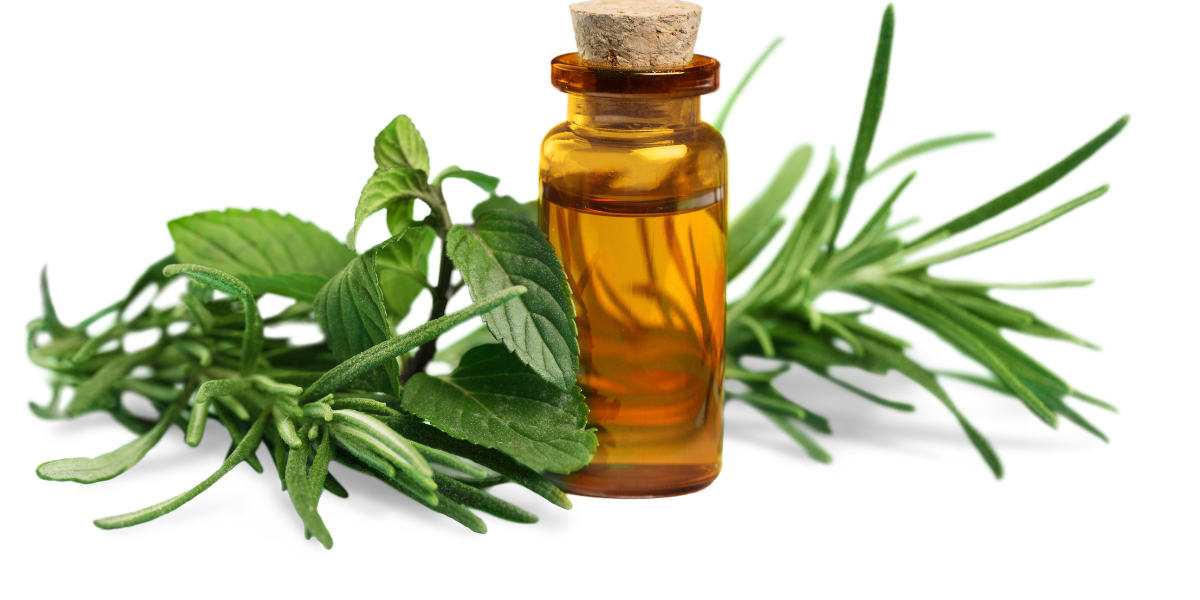 CBD Oil for Pain Relief: How It Works for Chronic, Joint and Nerve Pain