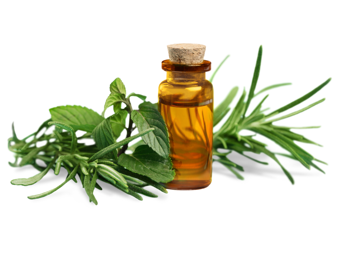 CBD Oil for Pain Relief: How It Works for Chronic, Joint and Nerve Pain