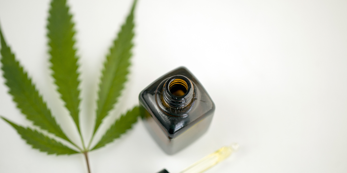 What Is CBG Oil vs CBD? Differences in Effects &amp; Use Cases