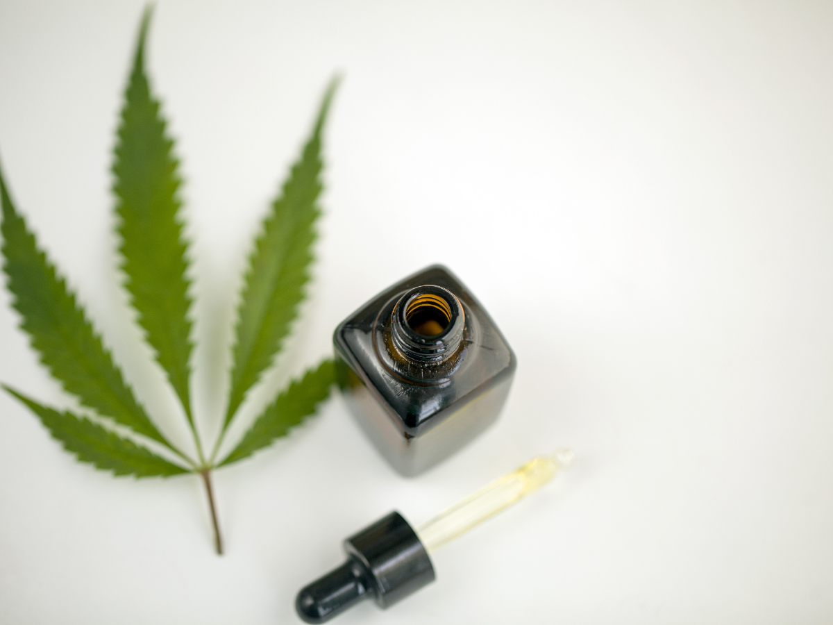 What Is CBG Oil vs CBD? Differences in Effects &amp; Use Cases