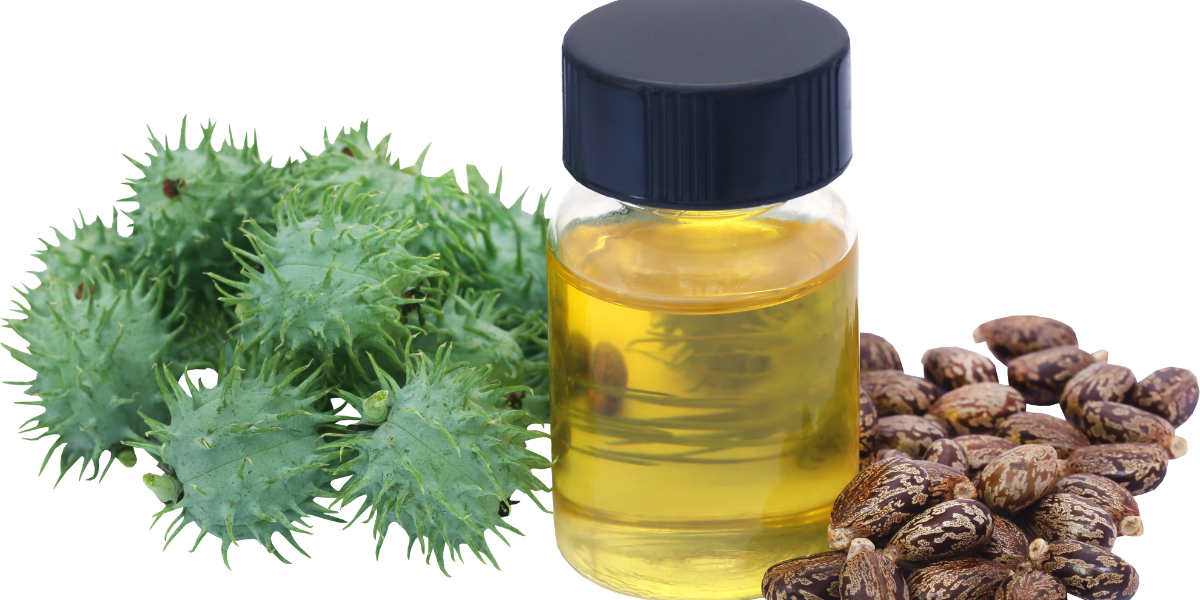 Using CBD Oil for Chronic And Nerve Pain: What Users Should Know