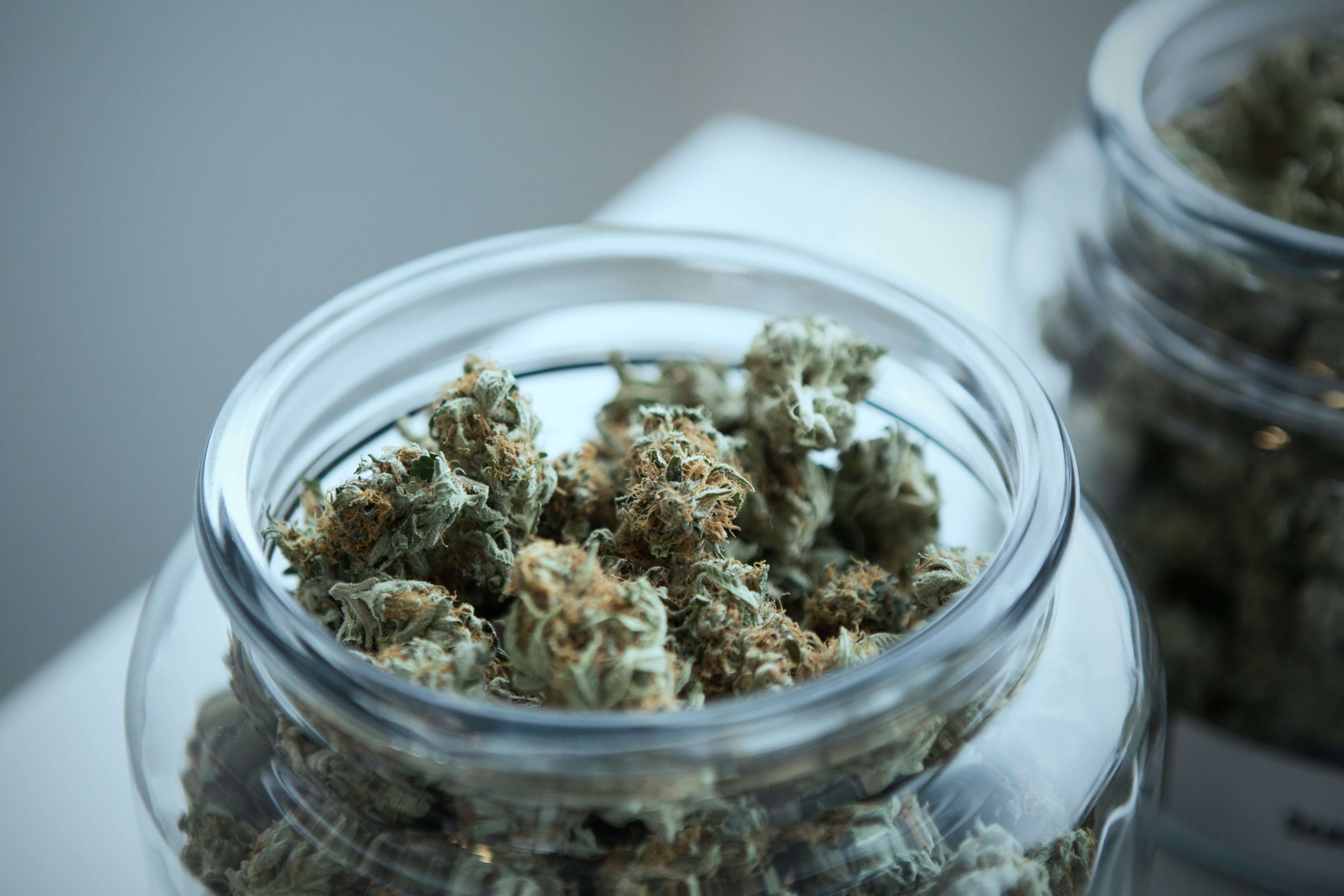 Which New York Towns Will Opt-In (or Out) of Marijuana Dispensaries?