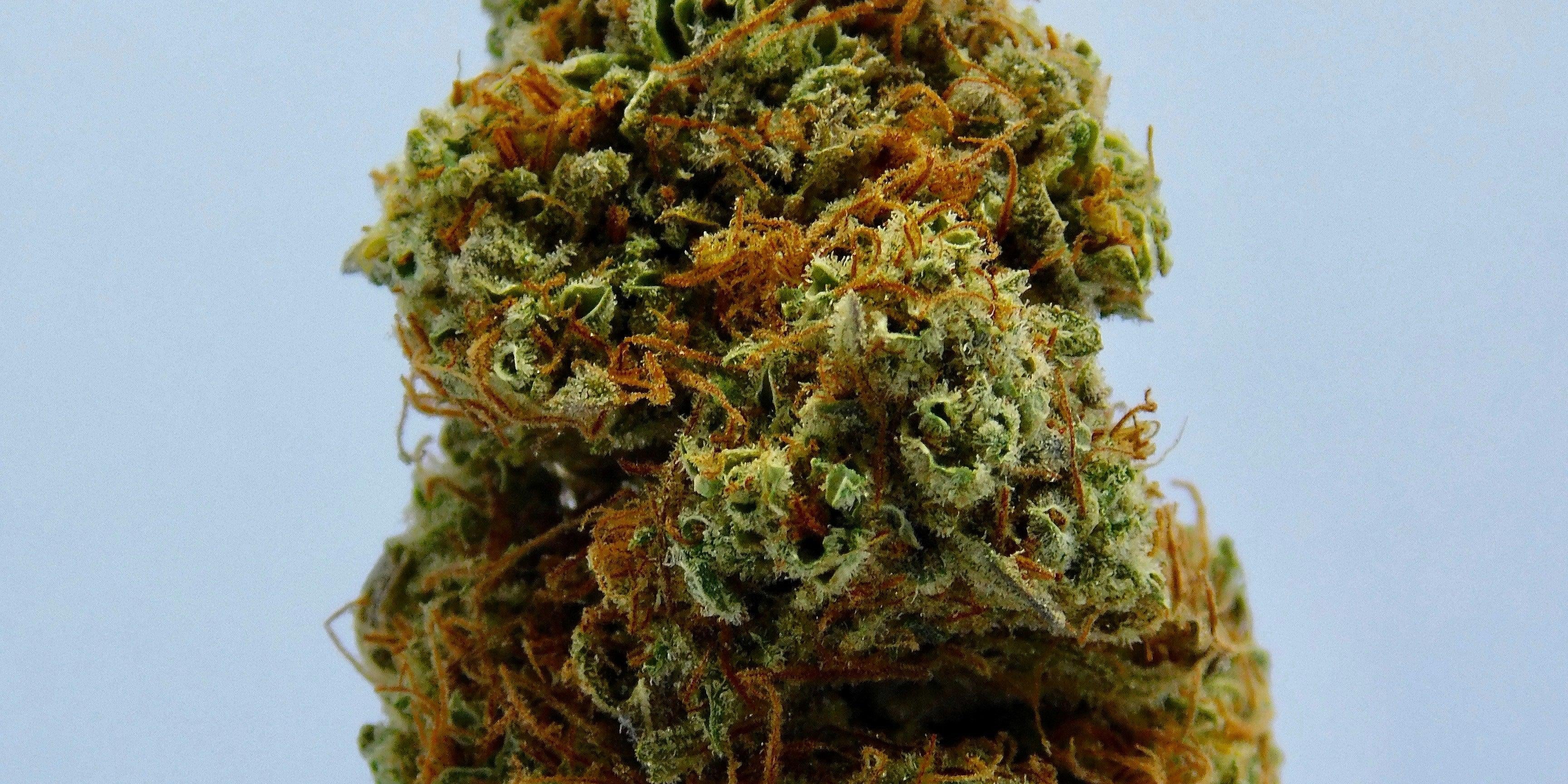 Hudson Valley NY: The Top 10 Cannabis Dispensaries